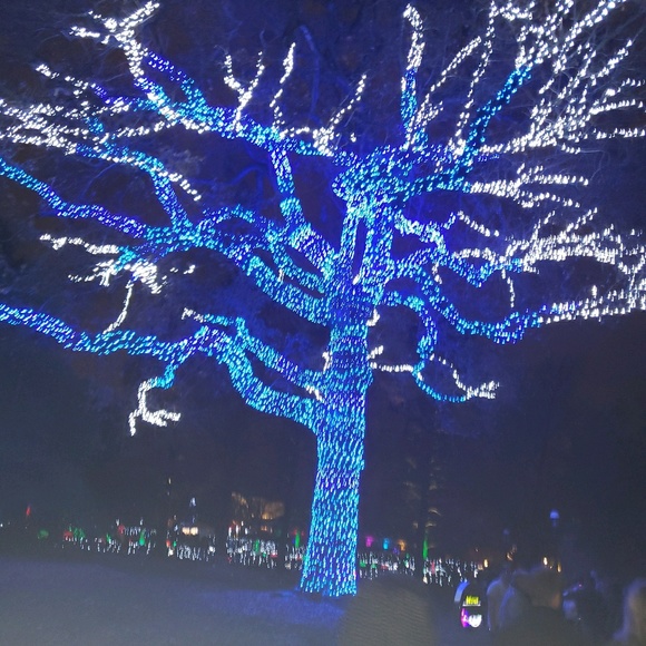 Meet your Posher, John - Picture 1 of 1